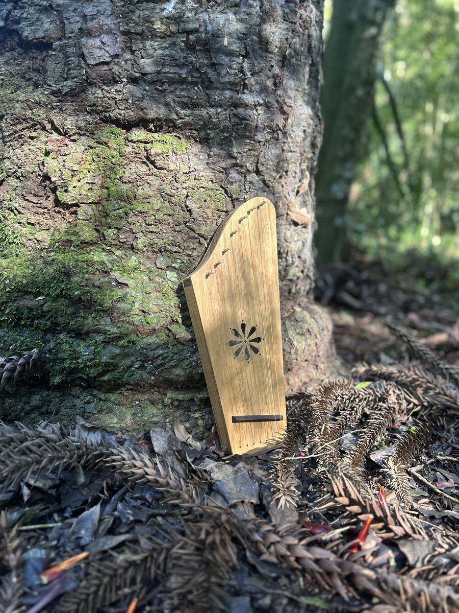 Kântele — foto 15